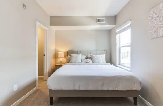 465e0dff 00b8 4c48 9c6a d6ffb47c4bab.jpg